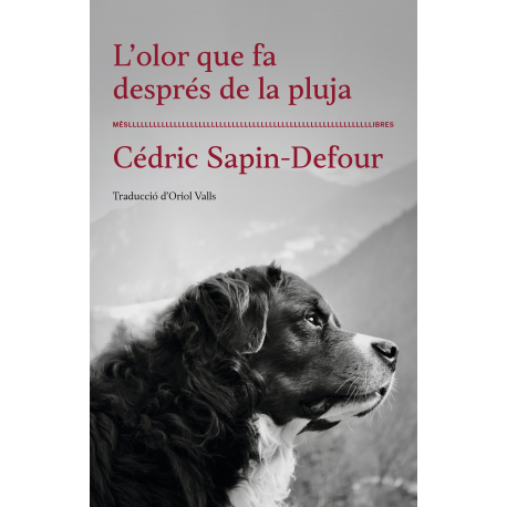 L'olor que fa després de la pluja